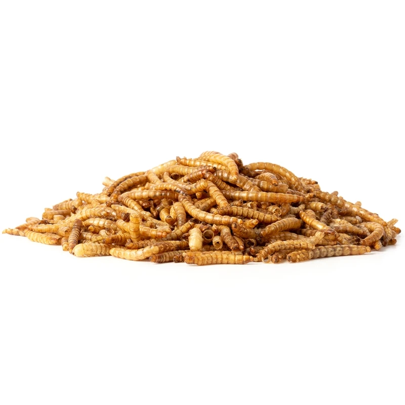 VOSS.vital "Mehlwürmer" Getrocknet, Leckerbissen Mit Hohem Proteingehalt, 1kg 4 VOSS.vital "Mehlwürmer" Getrocknet, Leckerbissen Mit Hohem Proteingehalt, 1kg – Bild 2
