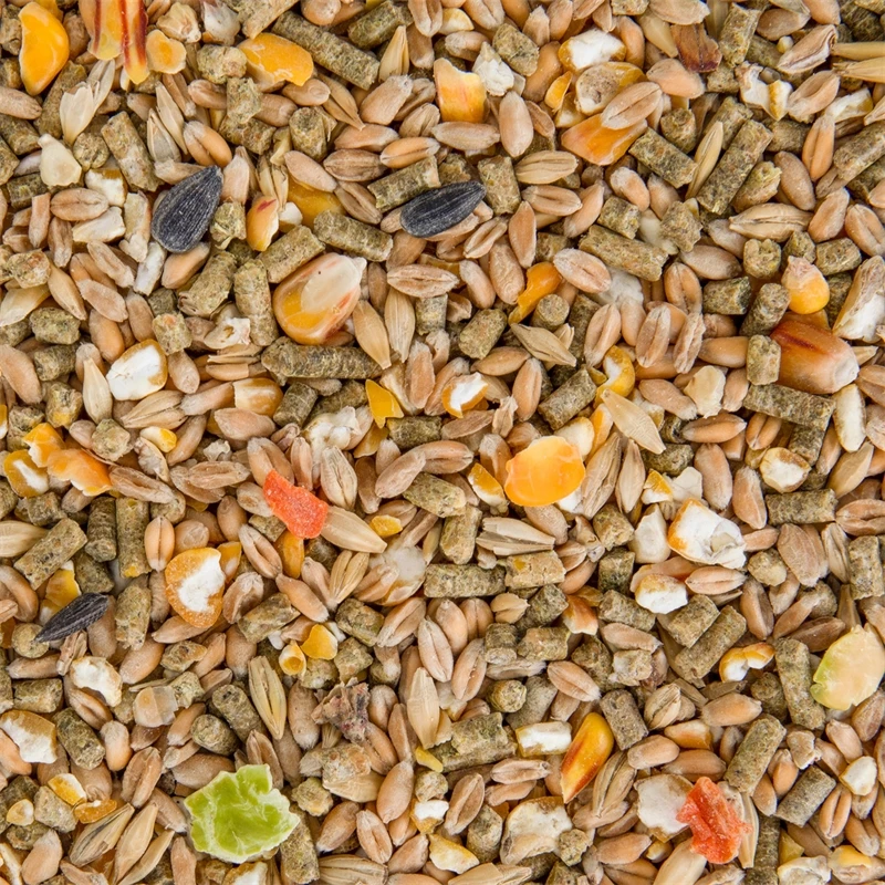 Deuka Freiland-Mix, Geflügelfutter Für Freiland- Und Bodenhaltung, 10kg 15 Deuka Freiland-Mix, Geflügelfutter Für Freiland- Und Bodenhaltung, 10kg – Bild 13