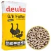 Deuka G/E Gekörnt, Mast- Und Reifefutter Für Gänse Und Enten, 25kg 2 Deuka G/E Gekörnt, Mast- Und Reifefutter Für Gänse Und Enten, 25kg -Optimal Ranchzaun Geschäft 563605 deuka ge gekoernt alleinfuttermittel fuer die kuekenaufzucht qualitaet