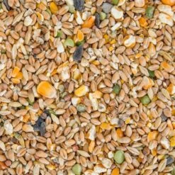 Deuka Körner Deluxe, Premium-Körnermischung Für Geflügel, 15kg 27 Deuka Körner Deluxe, Premium-Körnermischung Für Geflügel, 15kg -Optimal Ranchzaun Geschäft 563620 deuka koerner deluxe ergaenzungsfutter huehnerfutter mit muschelschrot 15kg