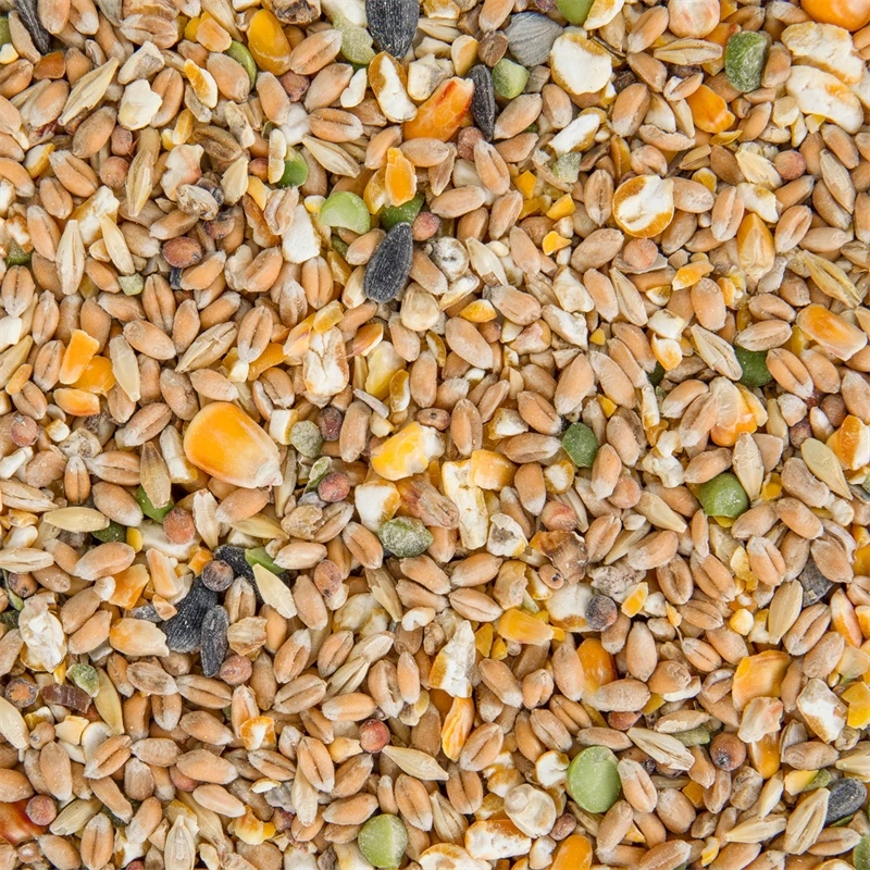 Deuka Körner Deluxe, Premium-Körnermischung Für Geflügel, 15kg 15 Deuka Körner Deluxe, Premium-Körnermischung Für Geflügel, 15kg – Bild 13