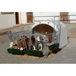 KERBL "CalfHouse Premium XL", Großraumhütte Für Kälber Mit Umzäunung
