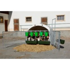 KERBL "CalfHouse Premium XL", Großraumhütte Für Kälber Mit Umzäunung 11 KERBL "CalfHouse Premium XL", Großraumhütte Für Kälber Mit Umzäunung -Optimal Ranchzaun Geschäft 580120 04 calfhouse premium xl inklusive hochwertiger holz schwelle