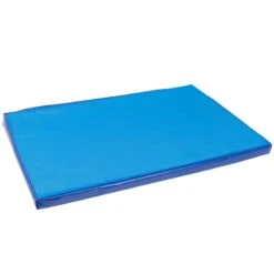 Desinfektionsmatte Für Stalleingänge - Stall Seuchenschutz Desinfektion, 90x60cm, Blau