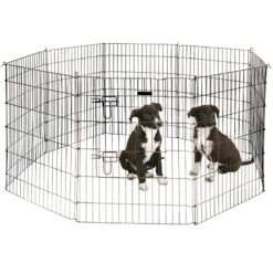 Welpen- Und Kleintiergehege, Freilauf