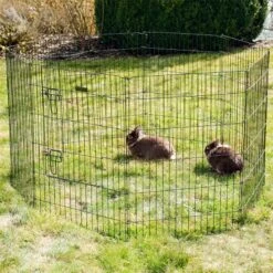 Welpen- Und Kleintiergehege, Freilauf 16 Welpen- Und Kleintiergehege, Freilauf -Optimal Ranchzaun Geschäft 590104 welpen und kleintiergehege 4