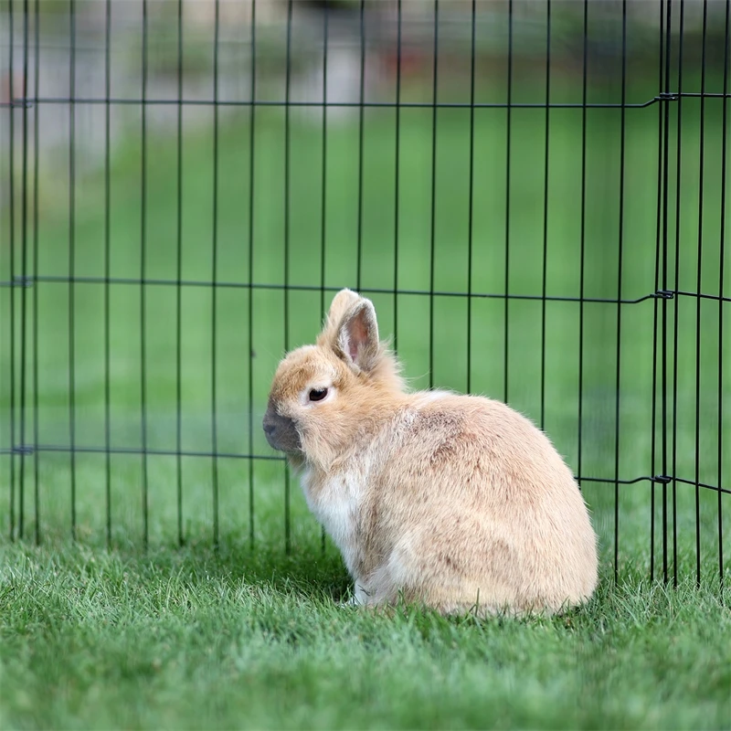 Welpen- Und Kleintiergehege, Freilauf 7 Welpen- Und Kleintiergehege, Freilauf – Bild 5