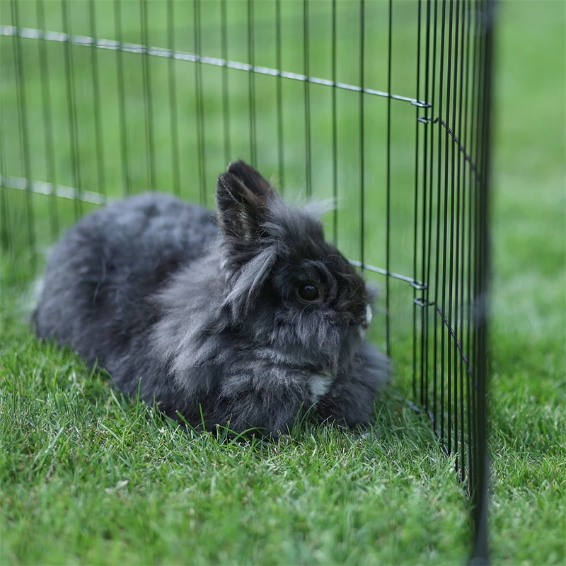 Welpen- Und Kleintiergehege, Freilauf 10 Welpen- Und Kleintiergehege, Freilauf – Bild 8