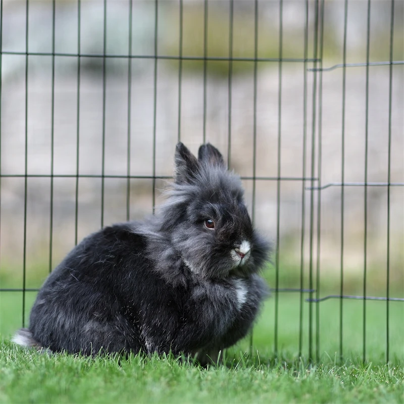Welpen- Und Kleintiergehege, Freilauf 11 Welpen- Und Kleintiergehege, Freilauf – Bild 9