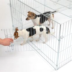 VOSS.pet Welpenauslauf, Freilaufgehege XL Für Kaninchen, Hasen, 216x112x66cm 31 VOSS.pet Welpenauslauf, Freilaufgehege XL Für Kaninchen, Hasen, 216x112x66cm -Optimal Ranchzaun Geschäft 590200 voss pet gehege praktische seitentuer