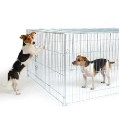 VOSS.pet Welpenauslauf, Freilaufgehege XL Für Kaninchen, Hasen, 216x112x66cm 39 VOSS.pet Welpenauslauf, Freilaufgehege XL Für Kaninchen, Hasen, 216x112x66cm -Optimal Ranchzaun Geschäft 590200 voss pet kleintiergehe vielseitig einsetzbar