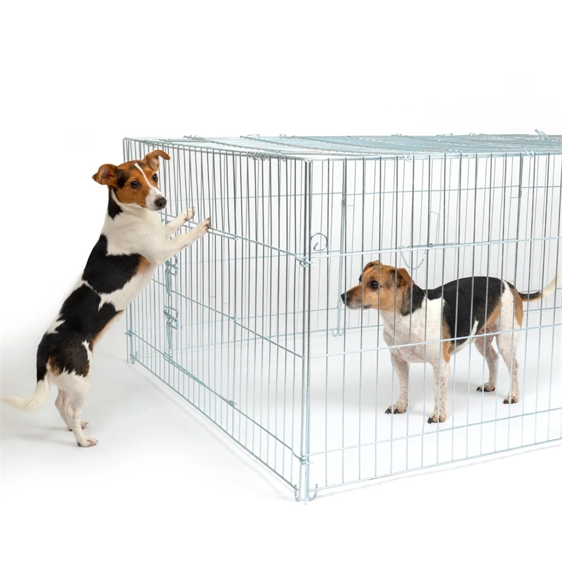 VOSS.pet Welpenauslauf, Freilaufgehege XL Für Kaninchen, Hasen, 216x112x66cm 20 VOSS.pet Welpenauslauf, Freilaufgehege XL Für Kaninchen, Hasen, 216x112x66cm – Bild 18