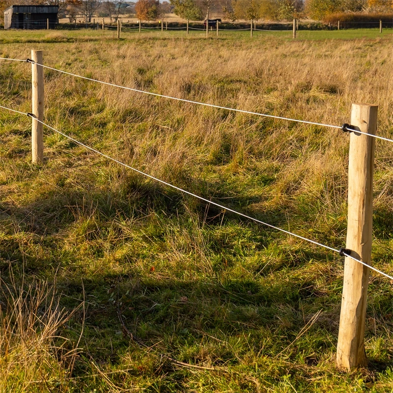 70x VOSS.farming Akazien-Pfähle Naturbelassen, Entrindet, Holzpfahl, 200cm, Ø 10-12cm 19 70x VOSS.farming Akazien-Pfähle Naturbelassen, Entrindet, Holzpfahl, 200cm, Ø 10-12cm – Bild 17