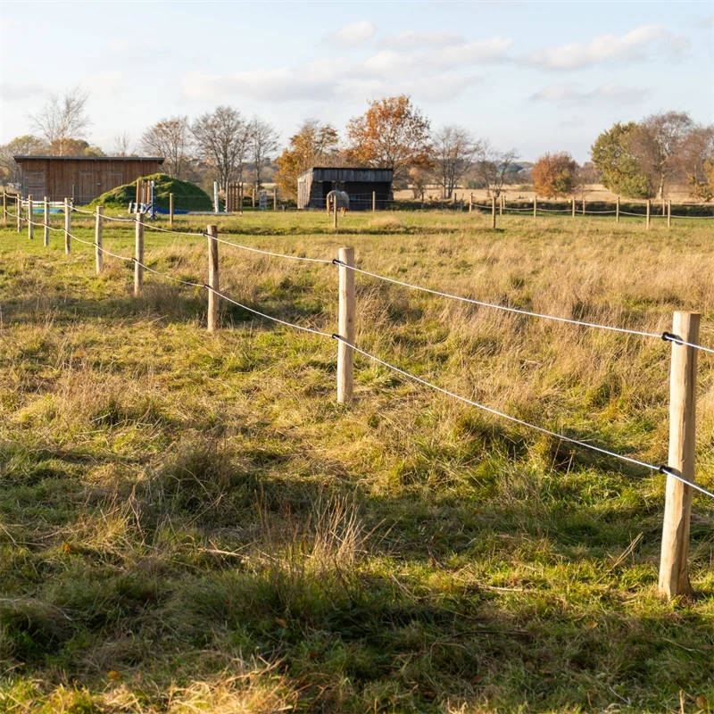 70x VOSS.farming Akazien-Pfähle Naturbelassen, Entrindet, Holzpfahl, 200cm, Ø 10-12cm 17 70x VOSS.farming Akazien-Pfähle Naturbelassen, Entrindet, Holzpfahl, 200cm, Ø 10-12cm – Bild 15