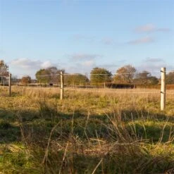 35x VOSS.farming Akazien-Pfähle Naturbelassen, Entrindet, Holzpfahl, 200cm, Ø 10-12cm 37 35x VOSS.farming Akazien-Pfähle Naturbelassen, Entrindet, Holzpfahl, 200cm, Ø 10-12cm -Optimal Ranchzaun Geschäft 69330 50 runde robinienpfaehle holzpfaehle weidezaun 1