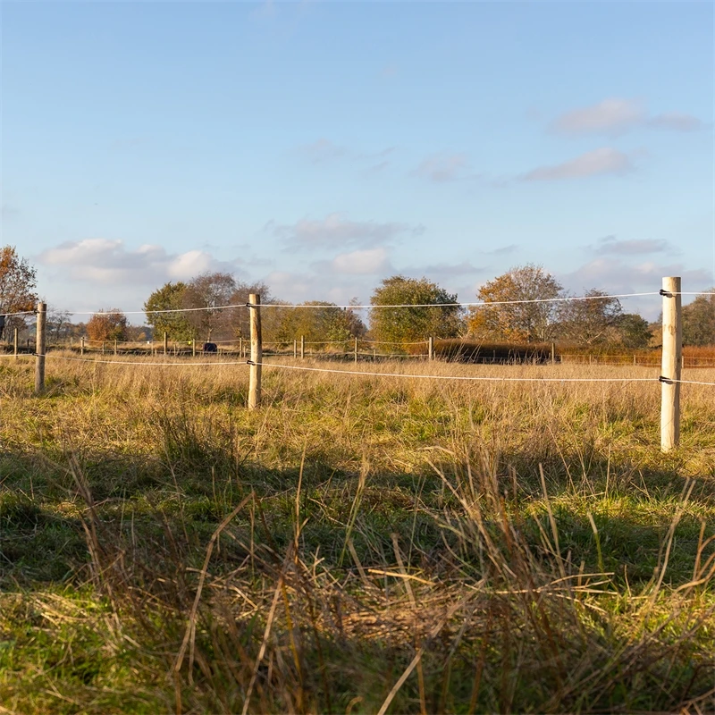 35x VOSS.farming Akazien-Pfähle Naturbelassen, Entrindet, Holzpfahl, 200cm, Ø 10-12cm 18 35x VOSS.farming Akazien-Pfähle Naturbelassen, Entrindet, Holzpfahl, 200cm, Ø 10-12cm – Bild 16