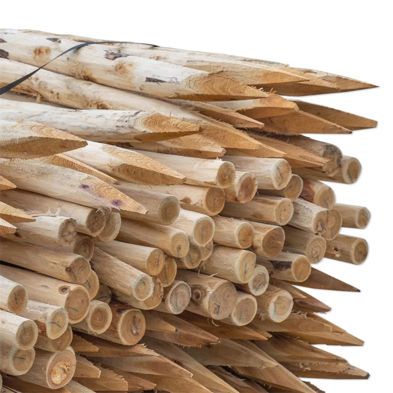 150x VOSS.farming Akazien-Pfähle Naturbelassen, Entrindet, Holzpfahl, 200cm, Ø 6-8cm 5 150x VOSS.farming Akazien-Pfähle Naturbelassen, Entrindet, Holzpfahl, 200cm, Ø 6-8cm – Bild 3