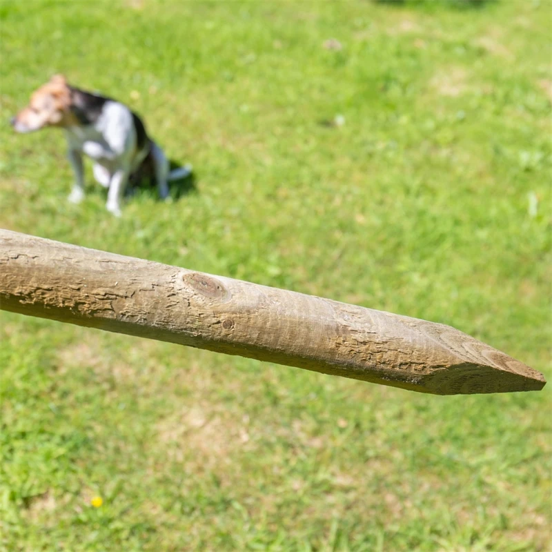 VOSS.farming Zaunset, Gartenzaun-SET: Volierendraht 10mx100cm + 8x Holzpfähle 14 VOSS.farming Zaunset, Gartenzaun-SET: Volierendraht 10mx100cm + 8x Holzpfähle – Bild 12