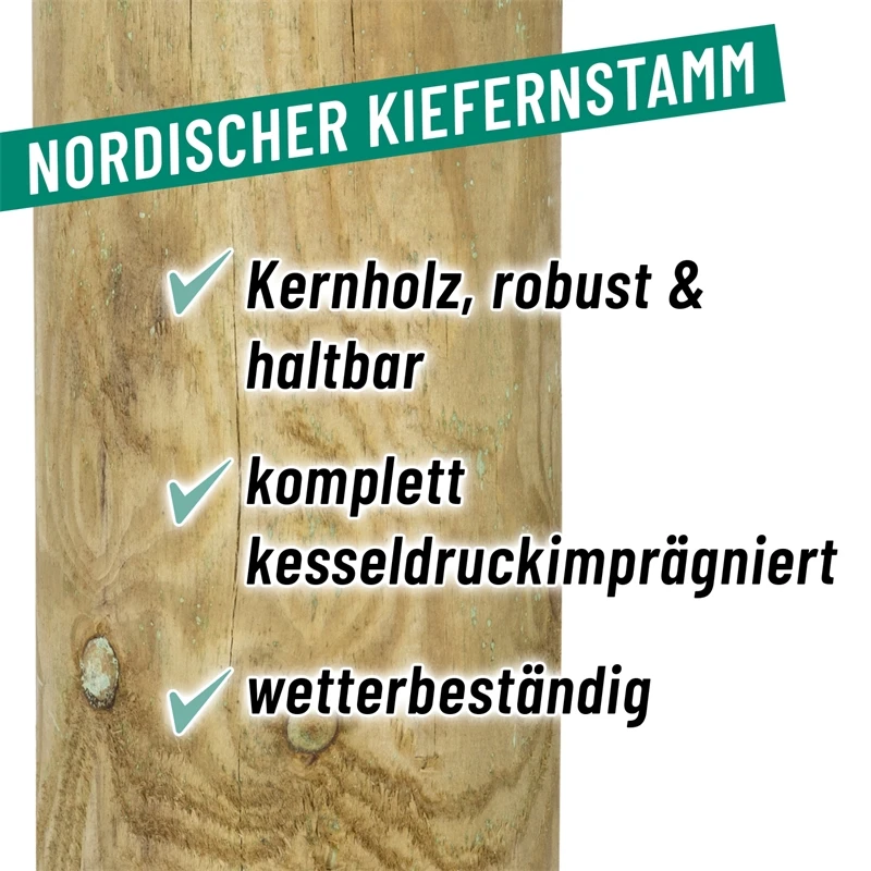 VOSS.farming Pferdezaun Holzpfosten - Arizona Eckpfahl 200cm X 140mm 10 VOSS.farming Pferdezaun Holzpfosten - Arizona Eckpfahl 200cm X 140mm – Bild 8