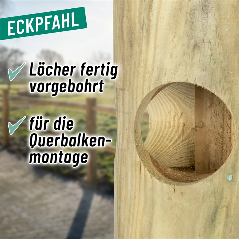 VOSS.farming Pferdezaun Holzpfosten - Arizona Eckpfahl 200cm X 140mm 12 VOSS.farming Pferdezaun Holzpfosten - Arizona Eckpfahl 200cm X 140mm – Bild 10