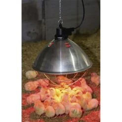 Infrarot-Wärmestrahler Ø 35cm - Wärmelampe Inkl. Schutzkorb, 5m Kabel 7 Infrarot-Wärmestrahler Ø 35cm - Wärmelampe Inkl. Schutzkorb, 5m Kabel -Optimal Ranchzaun Geschäft 80315 3 infrarot waermestrahler C398 35cm waermelampe inkl schutzkorb 5m kabel ohne birne