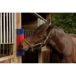 KERBL Halbrunde Kratzbürste 10 KERBL Halbrunde Kratzbürste -Optimal Ranchzaun Geschäft 86170 4 kerbl halbrunde kratzbuerste 5cm lange borsten fuer pferde ponys