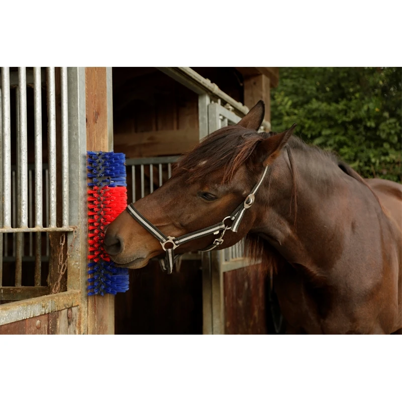 KERBL Halbrunde Kratzbürste 6 KERBL Halbrunde Kratzbürste – Bild 4