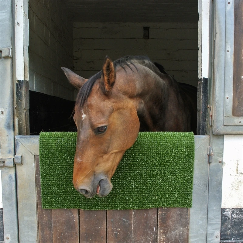 Kratzmatte "KratzPad" Für Pferde Und Andere Tiere, Reinigungsmatte, 55x90cm 4 Kratzmatte "KratzPad" Für Pferde Und Andere Tiere, Reinigungsmatte, 55x90cm – Bild 2