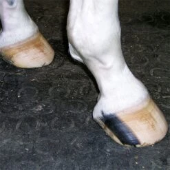 BELMONDO Stallmatte Basic - 100x100cm, Stärke 18mm, Gummimatte, Boxenmatte -Optimal Ranchzaun Geschäft 87200 belmondo stallmatte basic befahrbar