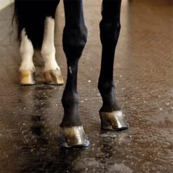 BELMONDO Stallmatte Classic - 100x100cm, Stärke 18mm, Gummimatte, Boxenmatte -Optimal Ranchzaun Geschäft 87202 belmondo stallmatte classic befahrbar