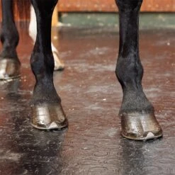 BELMONDO Stallmatte Classic - 100x100cm, Stärke 18mm, Gummimatte, Boxenmatte -Optimal Ranchzaun Geschäft 87202 belmondo stallmatte classic trittsicher