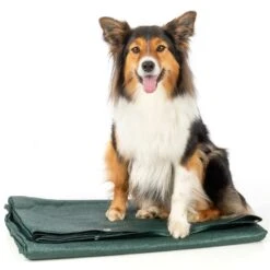 VOSS.farming Windschutznetz 3,55 X 1,2m, Für Weidepanels, Grün 24 VOSS.farming Windschutznetz 3,55 X 1,2m, Für Weidepanels, Grün -Optimal Ranchzaun Geschäft 88005 06 07 08 windschutznetz mit oesen hochwertiges material 3