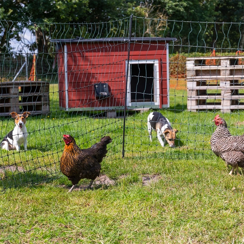 VOSS.farming FarmNET 25m Hühnerzaun, Geflügelnetz, 112cm, 9 Pfähle, 2 Spitzen, Grün, Ohne Strom 7 VOSS.farming FarmNET 25m Hühnerzaun, Geflügelnetz, 112cm, 9 Pfähle, 2 Spitzen, Grün, Ohne Strom – Bild 5