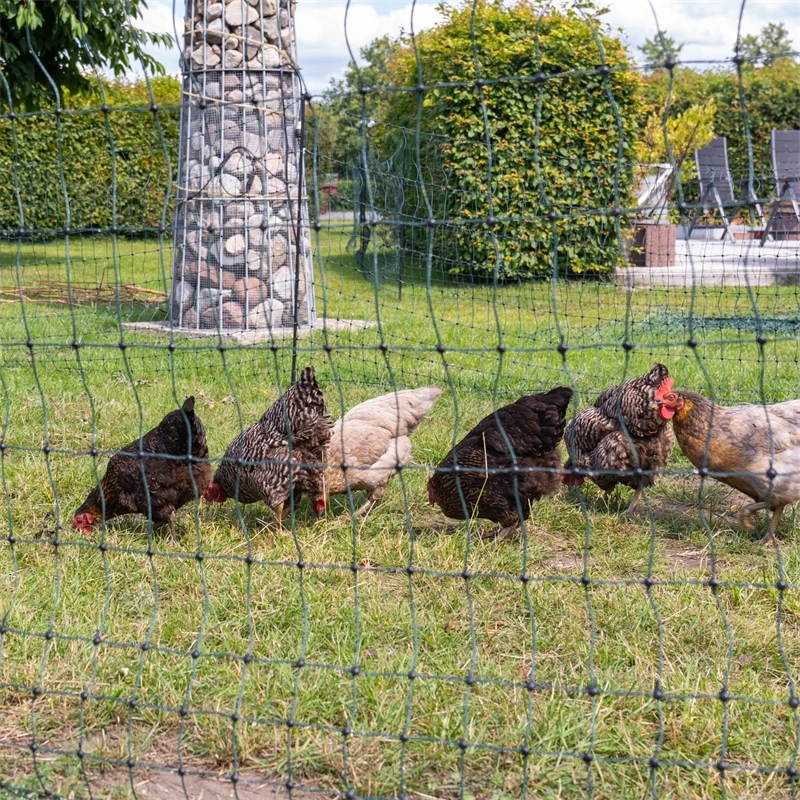 VOSS.farming FarmNET+ 50m Hühnerzaun, Geflügelnetz, 112cm, 20 Pfähle, 2 Spitzen, Grün 7 VOSS.farming FarmNET+ 50m Hühnerzaun, Geflügelnetz, 112cm, 20 Pfähle, 2 Spitzen, Grün – Bild 5