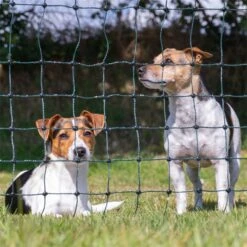 VOSS.farming FarmNET 15m Hühnerzaun, Geflügelnetz, 112cm, 6 Pfähle, 2 Spitzen, Grün 39 VOSS.farming FarmNET 15m Hühnerzaun, Geflügelnetz, 112cm, 6 Pfähle, 2 Spitzen, Grün -Optimal Ranchzaun Geschäft voss farming huetenetz haustiernetz gruen praxisbild 9