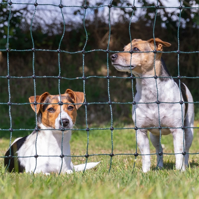 VOSS.farming FarmNET 15m Hühnerzaun, Geflügelnetz, 112cm, 6 Pfähle, 2 Spitzen, Grün 20 VOSS.farming FarmNET 15m Hühnerzaun, Geflügelnetz, 112cm, 6 Pfähle, 2 Spitzen, Grün – Bild 18