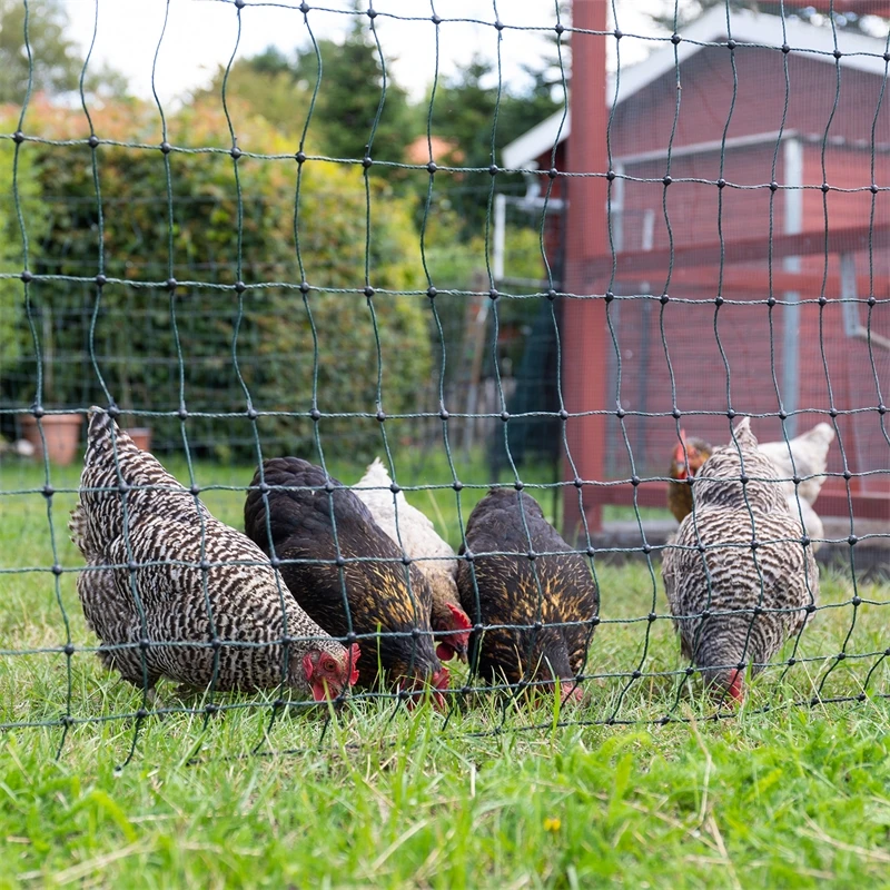 VOSS.farming FarmNET+ 50m Hühnerzaun, Geflügelnetz, 112cm, 20 Pfähle, 2 Spitzen, Grün 20 VOSS.farming FarmNET+ 50m Hühnerzaun, Geflügelnetz, 112cm, 20 Pfähle, 2 Spitzen, Grün – Bild 18